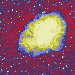 Optical image of the Crab Pulsar