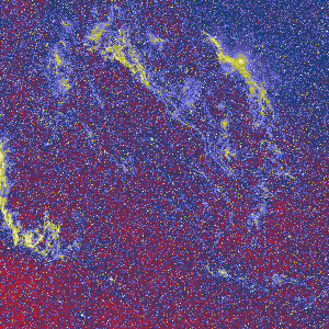 Optical image of Cygnus Loop